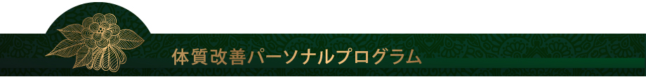 体質改善徹底プログラム