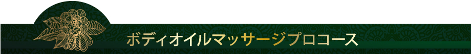 ボディオイルマッサージプロコース